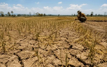 El Nino Bikin Sawah Mengering, Pemprov Sulsel Siapkan Sumur Bor dan Pompa Air untuk Petani