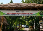 Obyek Wisata di Bissoloro, Mimpi Masa Depan 7 Obyek Wisata di Bissoloro, Mimpi Masa Depan