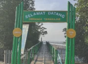 Tanarajae, Tempat Laut dan Mangrove Menemani Senja di Pangkep 11 Dermaga Tanrajae