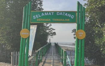 Tanarajae, Tempat Laut dan Mangrove Menemani Senja di Pangkep