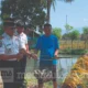 Ikan Nila Lapas Polewali