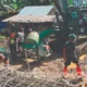 Jembatan Modular Sungai Yo’o di Nias Capai 48 Persen, Akses Warga Segera Lebih Aman