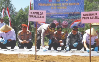 Polda Sulsel Garap 57 Hektare Bawang Putih, Bidik 570 Ton untuk Dongkrak Swasembada Pangan