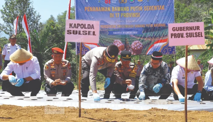 Polda Sulsel Garap 57 Hektare Bawang Putih, Bidik 570 Ton untuk Dongkrak Swasembada Pangan