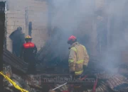 Kebakaran di Borong, Lima Rumah Hangus dan 28 KK Kehilangan Tempat Tinggal 7 Kebakaran Tuddopuli