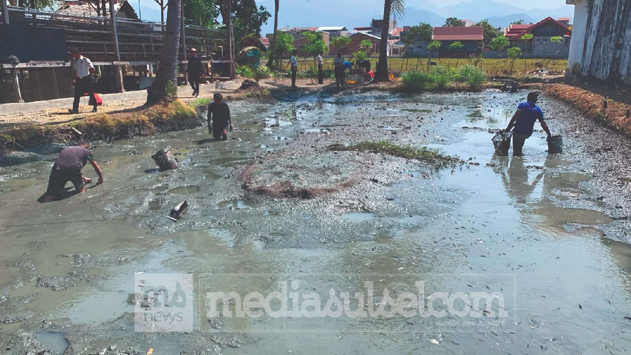 Kolam Nila Lapas Polewali