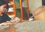 Jaga Kualitas di Tengah Tantangan Produksi, Toraja Koffie Perkuat Kemitraan dengan Petani