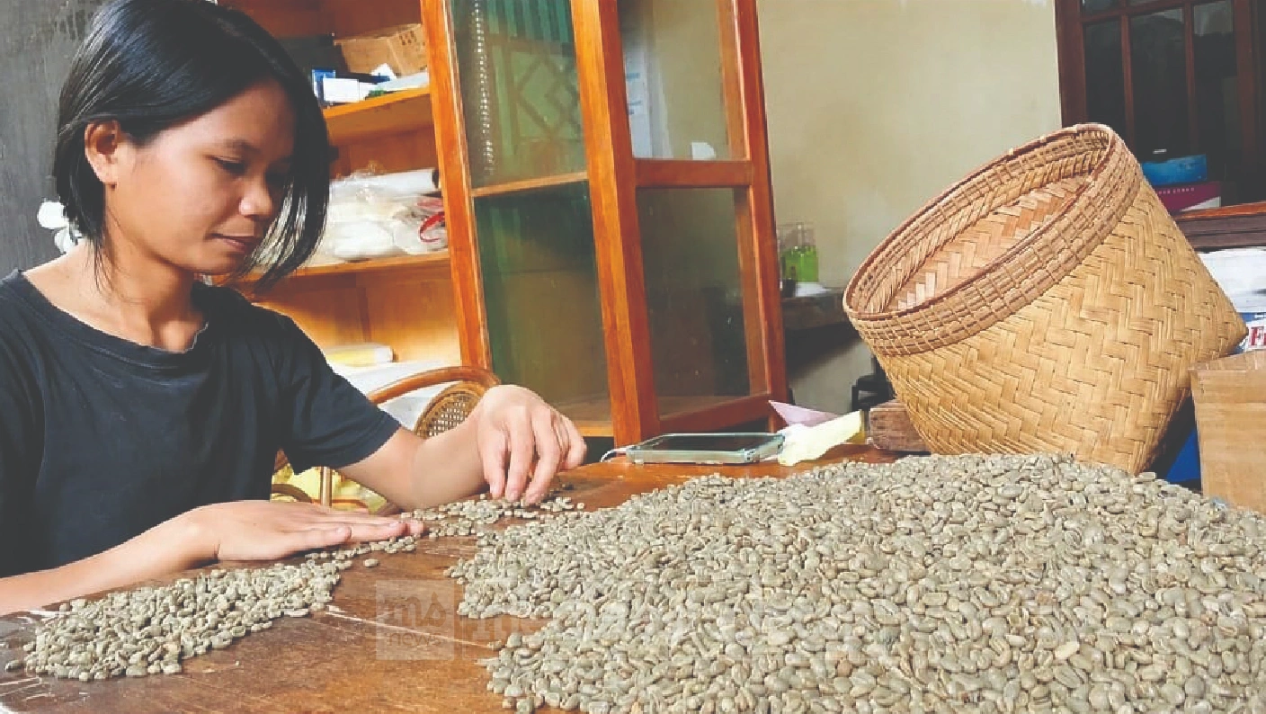Kopi Toraja