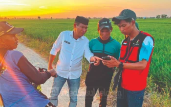 Pemetaan lahan sawah