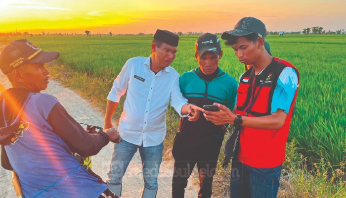 Mahasiswa KKN Unhas Petakan 1.303 Hektare Sawah di Sidrap, Data Digital Bantu Bantuan Petani Lebih Tepat Sasaran