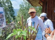 Dari Pekarangan, Ketahanan Pangan Keluarga Dibangun: TP PKK Toraja Utara Dorong Warga Jadi Produsen Pangan dari Rumah 11 Peninjauan kebun pemanfaatan gizi keluarga