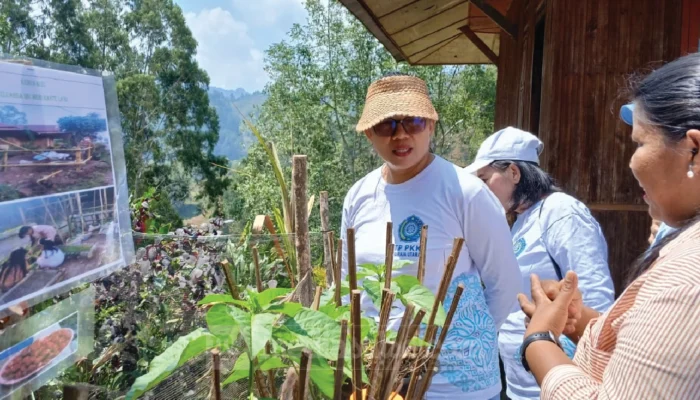 Dari Pekarangan, Ketahanan Pangan Keluarga Dibangun: TP PKK Toraja Utara Dorong Warga Jadi Produsen Pangan dari Rumah