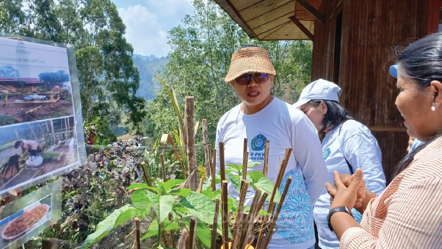 Peninjauan kebun pemanfaatan gizi keluarga