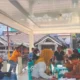 Perlinsos1