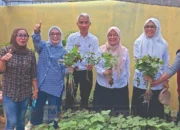 Panen Perdana Kangkung dan Bayam, Urban Farming Pisang Selatan Perkuat Ketahanan Pangan Warga 11 Pisang Selatan