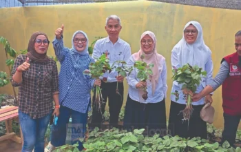 Panen Perdana Kangkung dan Bayam, Urban Farming Pisang Selatan Perkuat Ketahanan Pangan Warga 1 Pisang Selatan