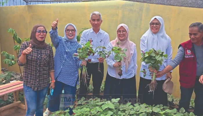 Panen Perdana Kangkung dan Bayam, Urban Farming Pisang Selatan Perkuat Ketahanan Pangan Warga