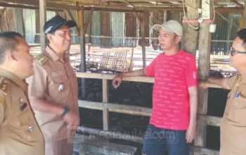 Manggala Siapkan Penampungan Sampah Organik di Kawasan TPA Tamangapa, Gandeng Konsep Kandang Sapi