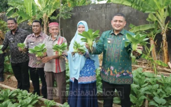 Camat Manggala Perkuat Urban Farming Bangkala untuk Ketahanan Pangan Warga 5 urban farming Bangkala