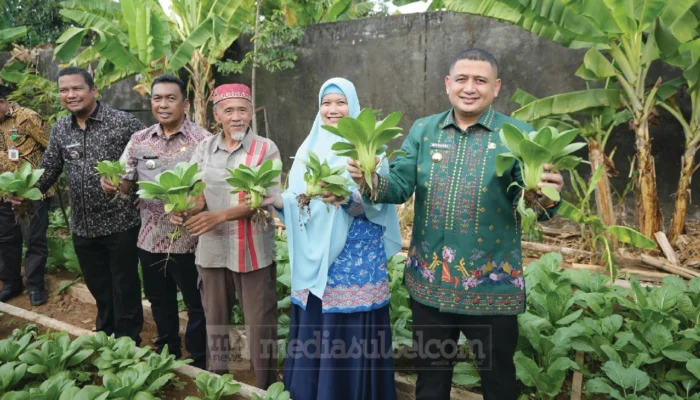 Camat Manggala Perkuat Urban Farming Bangkala untuk Ketahanan Pangan Warga