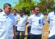 Appi Siapkan Ranch Sapi di TPA Tamangapa, Akhiri Sapi Makan Sampah 9 Appi Kunjungi Rach Sapi