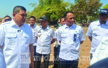 Appi Siapkan Ranch Sapi di TPA Tamangapa, Akhiri Sapi Makan Sampah