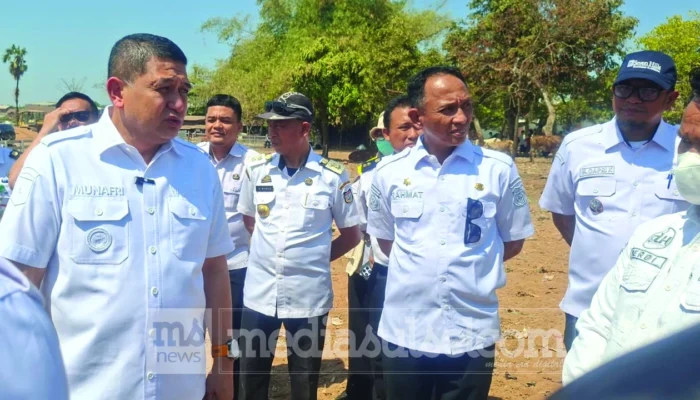 Appi Siapkan Ranch Sapi di TPA Tamangapa, Akhiri Sapi Makan Sampah