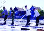 Bupati Pangkep Panen Garam