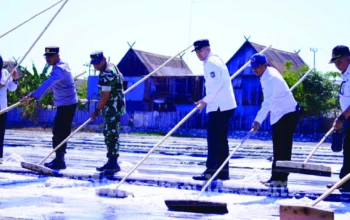 Bupati Pangkep Bidik Ratusan Ribu Ton Garam, 700 Hektare Lahan Masih Menganggur