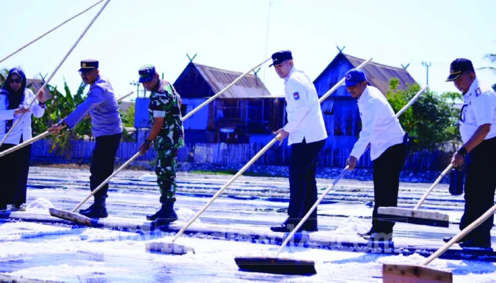 Bupati Pangkep Bidik Ratusan Ribu Ton Garam, 700 Hektare Lahan Masih Menganggur