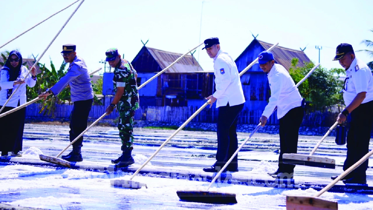 Bupati Pangkep Panen Garam