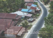 Lamuru Palattae