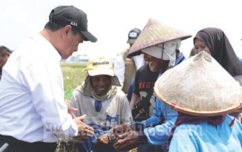 Buruh Tani Tak Punya Lahan, Mentan Amran Langsung Beri Combine Harvester