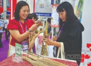 UMK Sakoda Broom