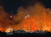 Karhutla Parepare Tembus 257 Kasus, Lima Hektare Lahan Terbakar dalam Semalam 9 kebakaran parepare