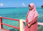 Pembungkaman Konten Aktivis yang Menyuarakan Kondisi Karhutla
