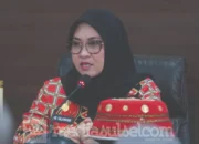 Husniah Talenrang Resmi Diberhentikan, Darmawansyah Muin Mulai Pimpin Gowa