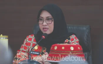 Husniah Talenrang Resmi Diberhentikan, Darmawansyah Muin Mulai Pimpin Gowa