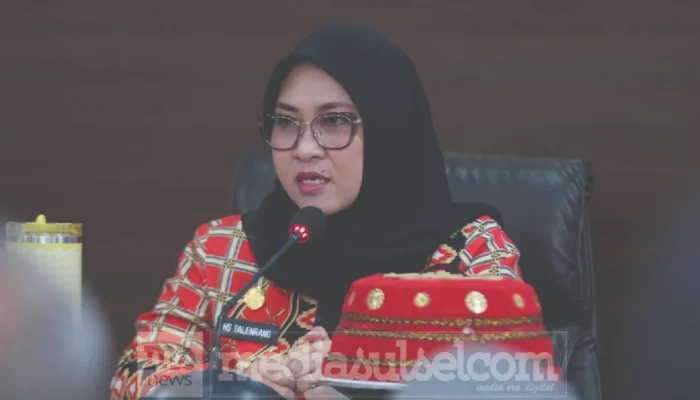 Husniah Talenrang Resmi Diberhentikan, Darmawansyah Muin Mulai Pimpin Gowa