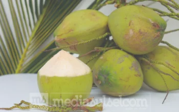Tetra Pak Dorong Hilirisasi Kelapa Indonesia dari Manado
