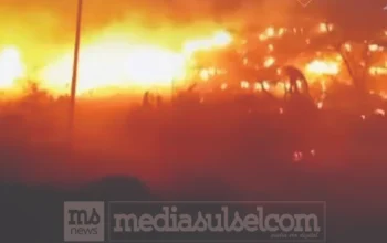 Kebakaran TPA Aloppoe Parepare Sulit Dipadamkan, Angin Kencang dan Pasokan Air Jadi Kendala