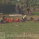Petani Rumput Tolak Sekolah Rakyat di Benteng Somba Opu, Khawatir Kehilangan Mata Pencaharian