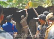 Pemkot Makassar Tertibkan Ternak dan Kandang Babi di Panaikang 10 penertiban kandang babi