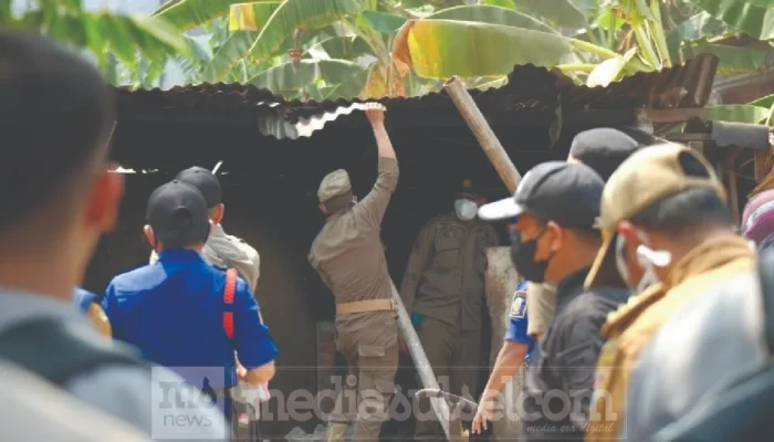 Pemkot Makassar Tertibkan Ternak dan Kandang Babi di Panaikang