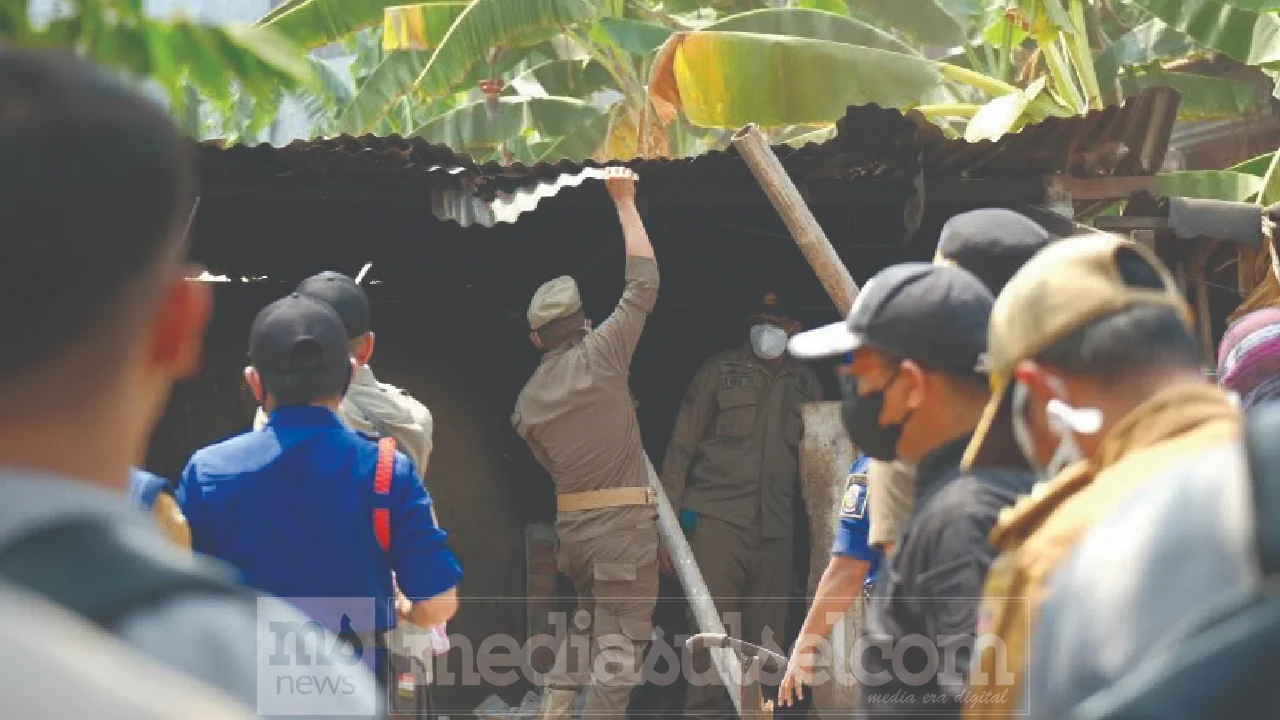 penertiban kandang babi