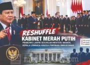 resafel kabinet